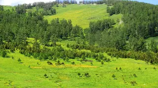 《征途》职业选择全攻略：打造属于你的最强角色！